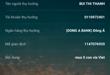ảnh