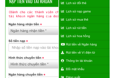 ảnh