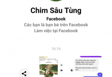 ảnh