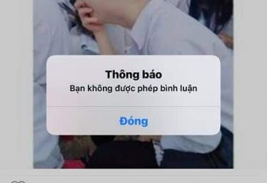 ảnh