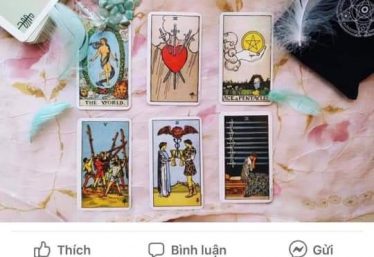 ảnh