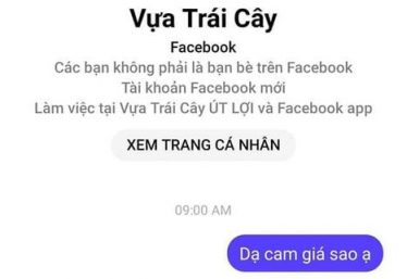 ảnh