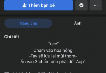 ảnh