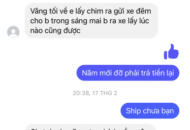 ảnh