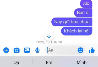 ảnh