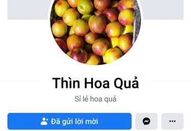 ảnh
