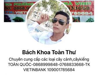 ảnh