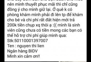 ảnh