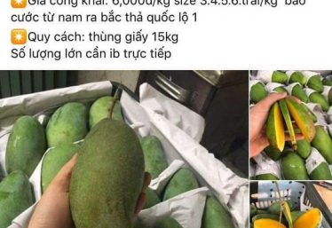 ảnh
