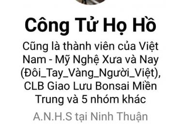 ảnh