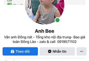ảnh