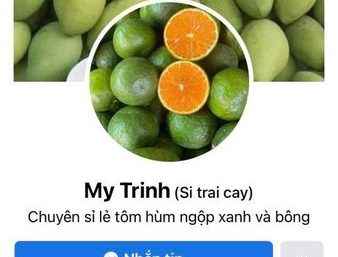 ảnh