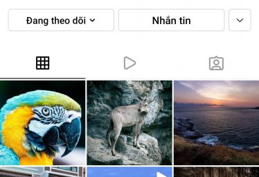 ảnh