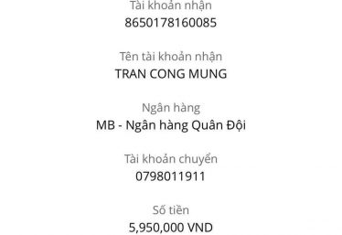 ảnh