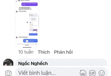 ảnh