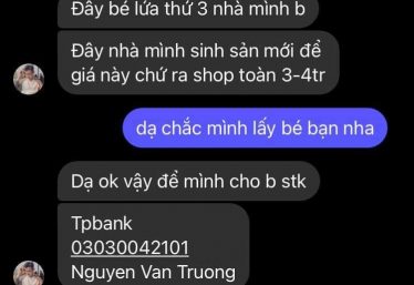 ảnh