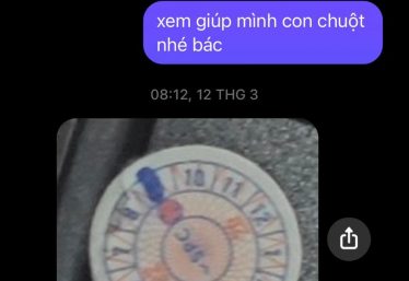 ảnh