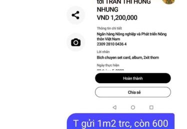 ảnh