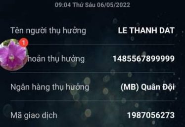 ảnh