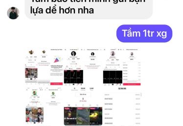 ảnh
