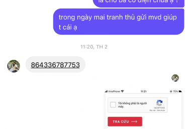 ảnh