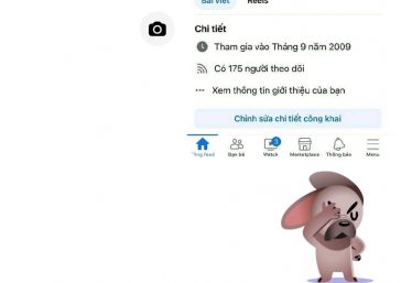 ảnh