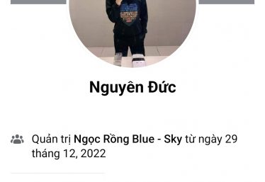 ảnh