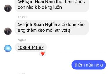 ảnh