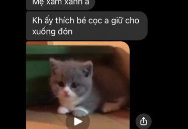 ảnh