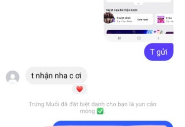 ảnh