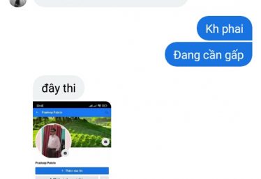 ảnh