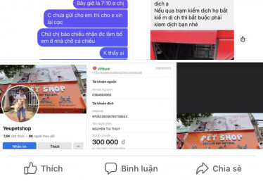ảnh