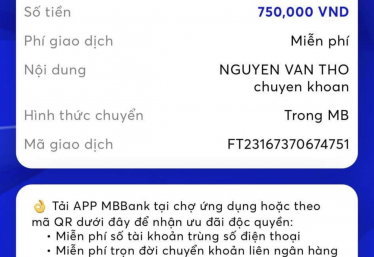 ảnh