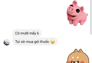 ảnh