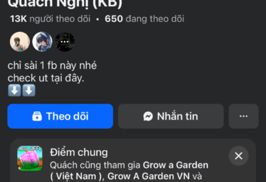 ảnh