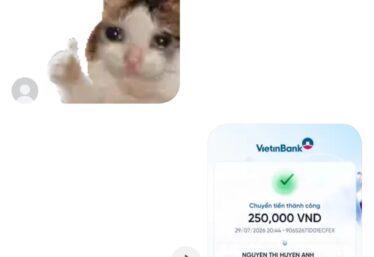 ảnh