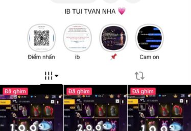 ảnh