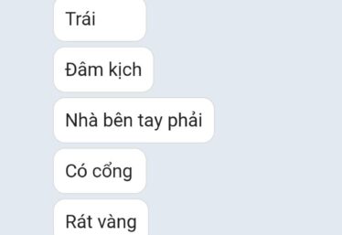 ảnh