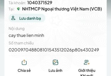 ảnh
