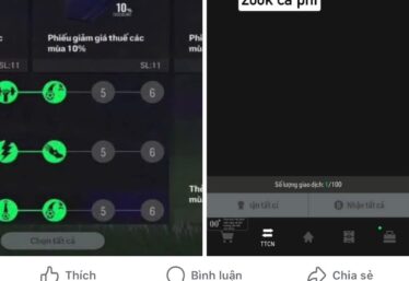 ảnh