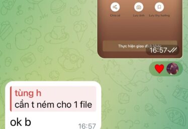 ảnh