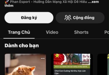 ảnh
