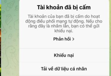 ảnh